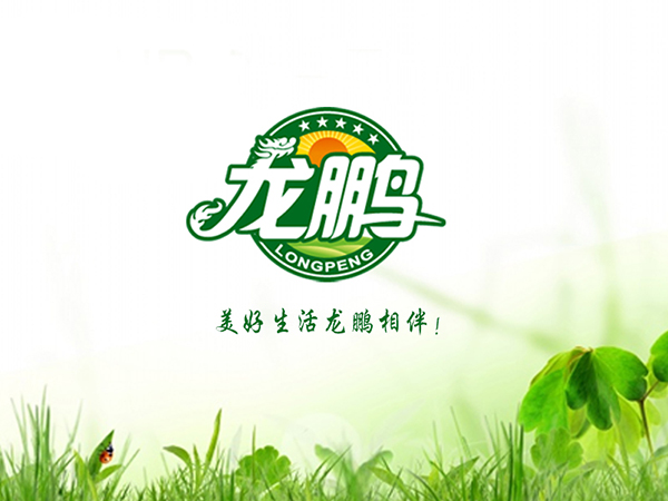 龙鹏